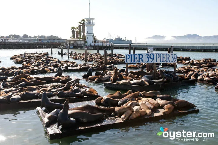 """"""""'""""San"""'""""""""